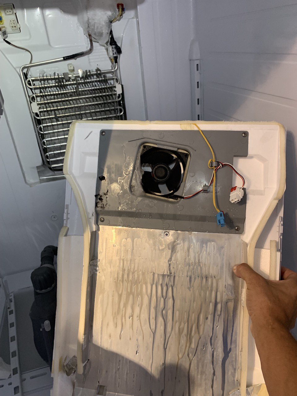 Fridge Samsung Repair Samsung