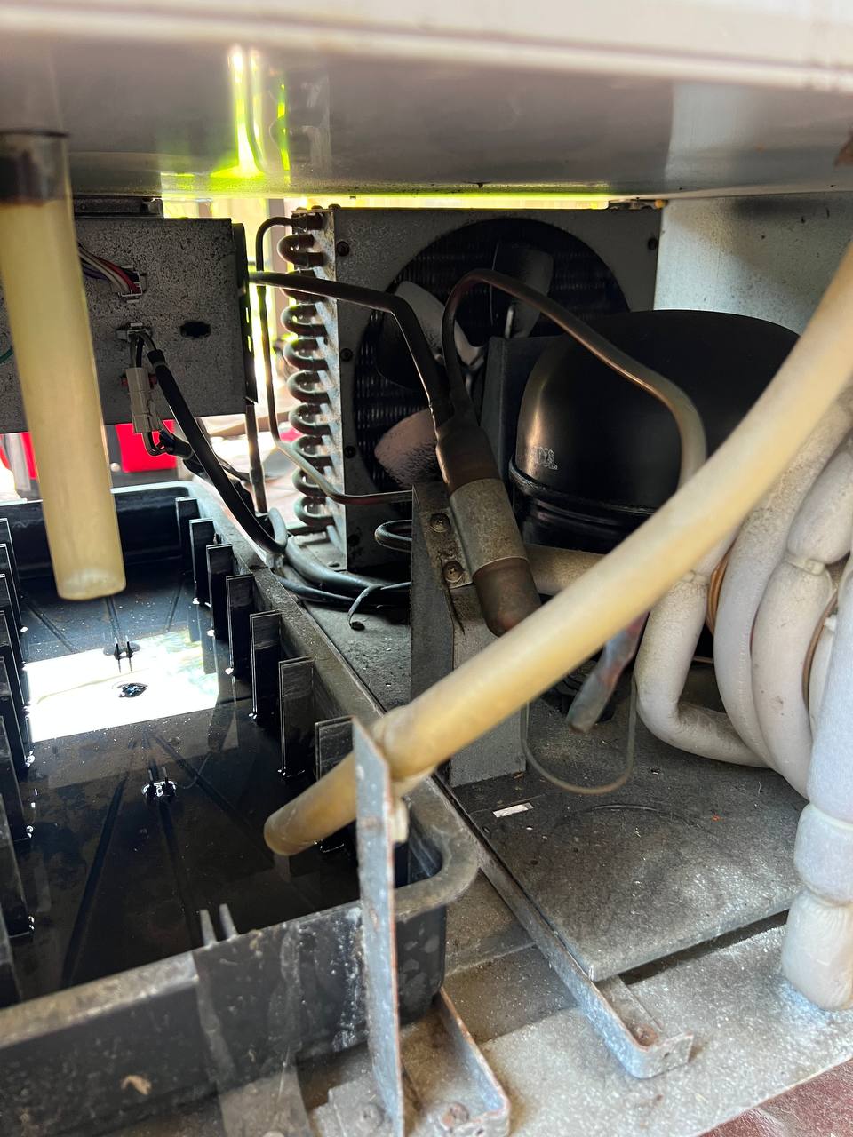 Commercial Fridge Blue Air Repair True