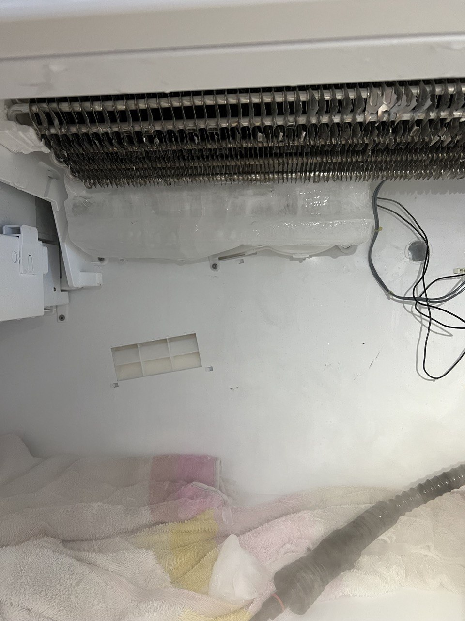 Fridge Miele Repair