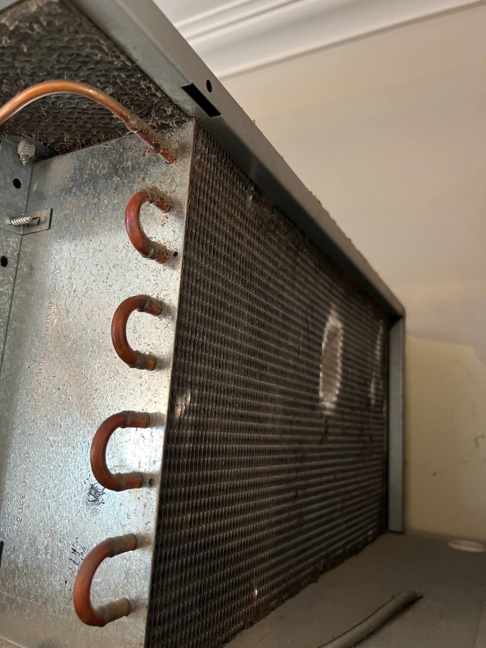 Wine Cooler Sub-Zero Maintenance Refrigerator Repair