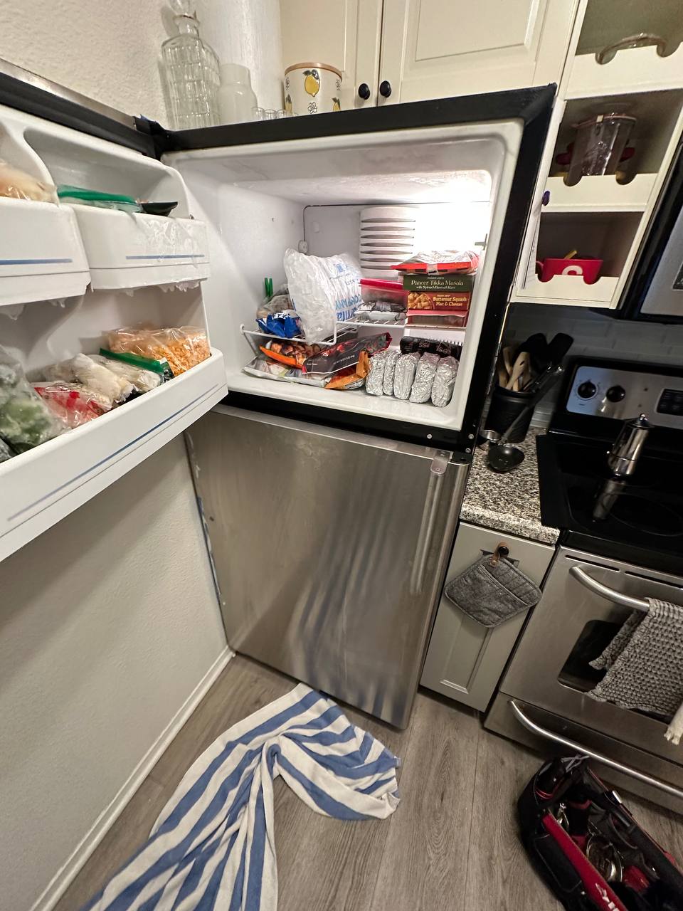 Fridge GE Repair