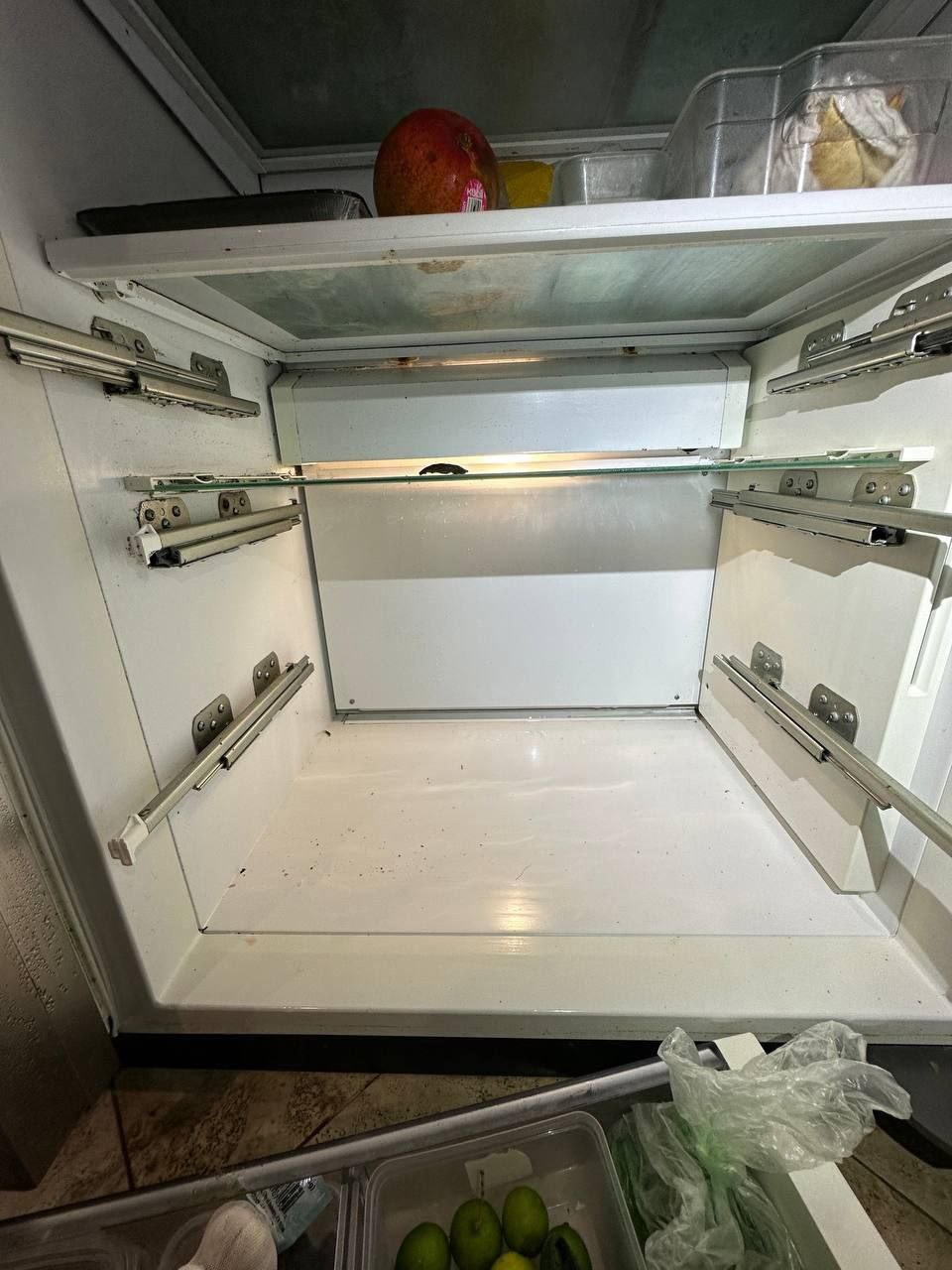 Fridge Sub-Zero Repair